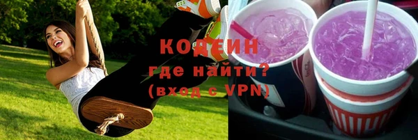 индика Пестово