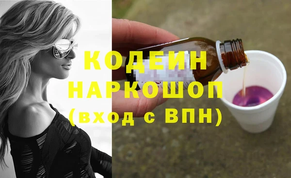 индика Пестово