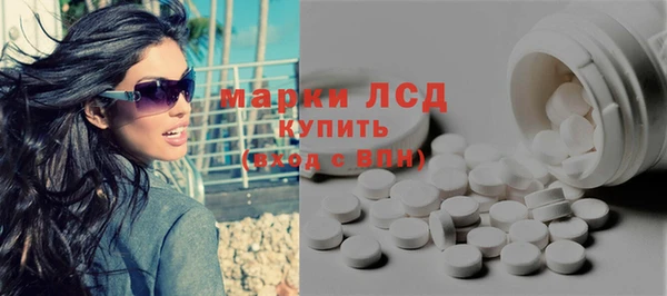 индика Пестово