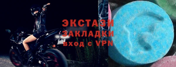 индика Пестово