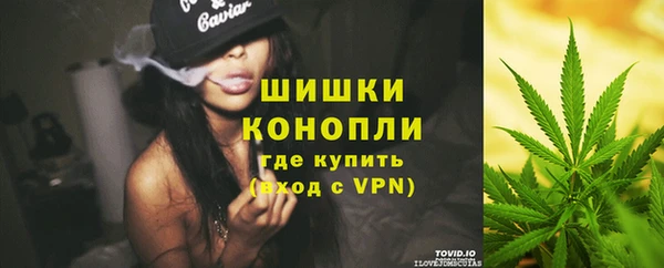 индика Пестово