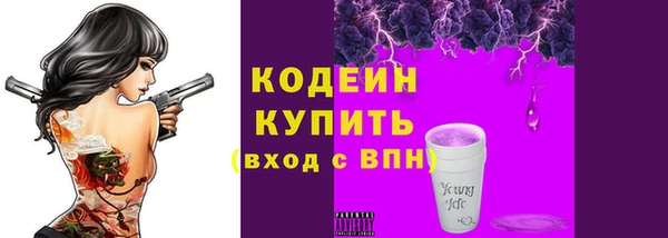 индика Пестово