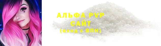 индика Пестово