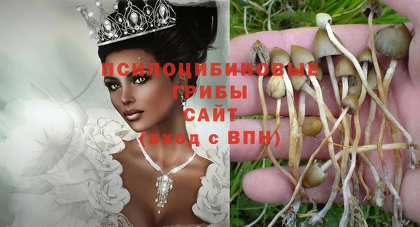 индика Пестово