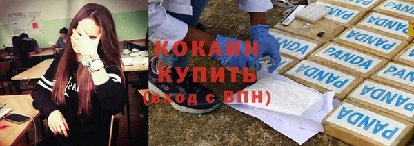 индика Пестово
