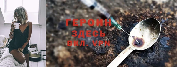 индика Пестово