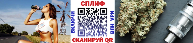 shop как зайти  сколько стоит  Кирсанов  Каннабис ГИДРОПОН 